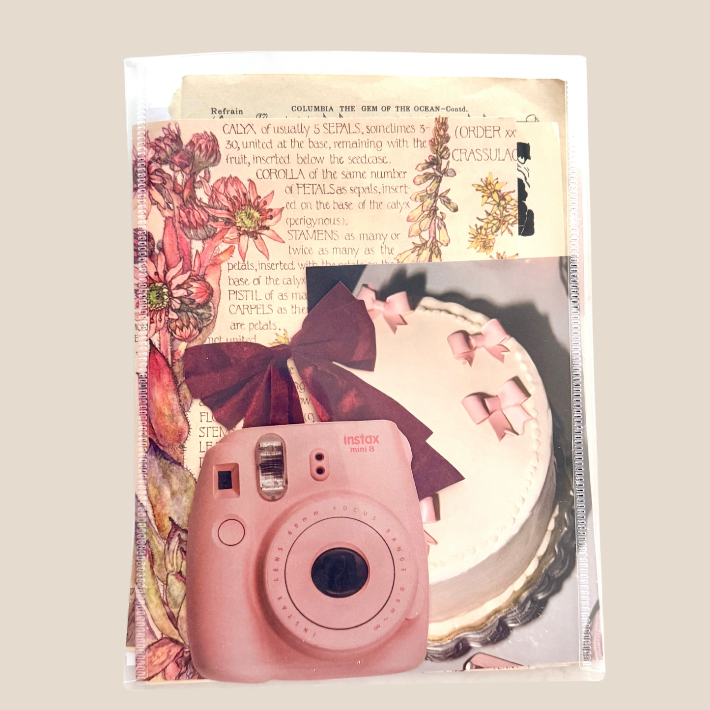 Junk Journal Scrap Pack | Coquette Ephemera