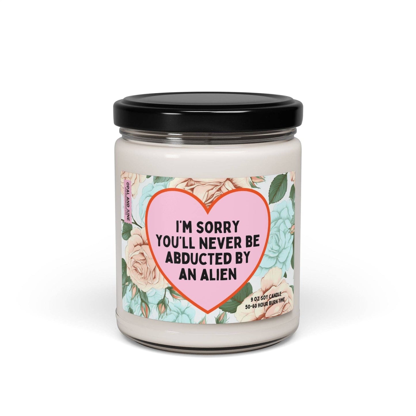 Candle: Never Be Abducted by Aliens: Cinnamon Vanilla / 9oz