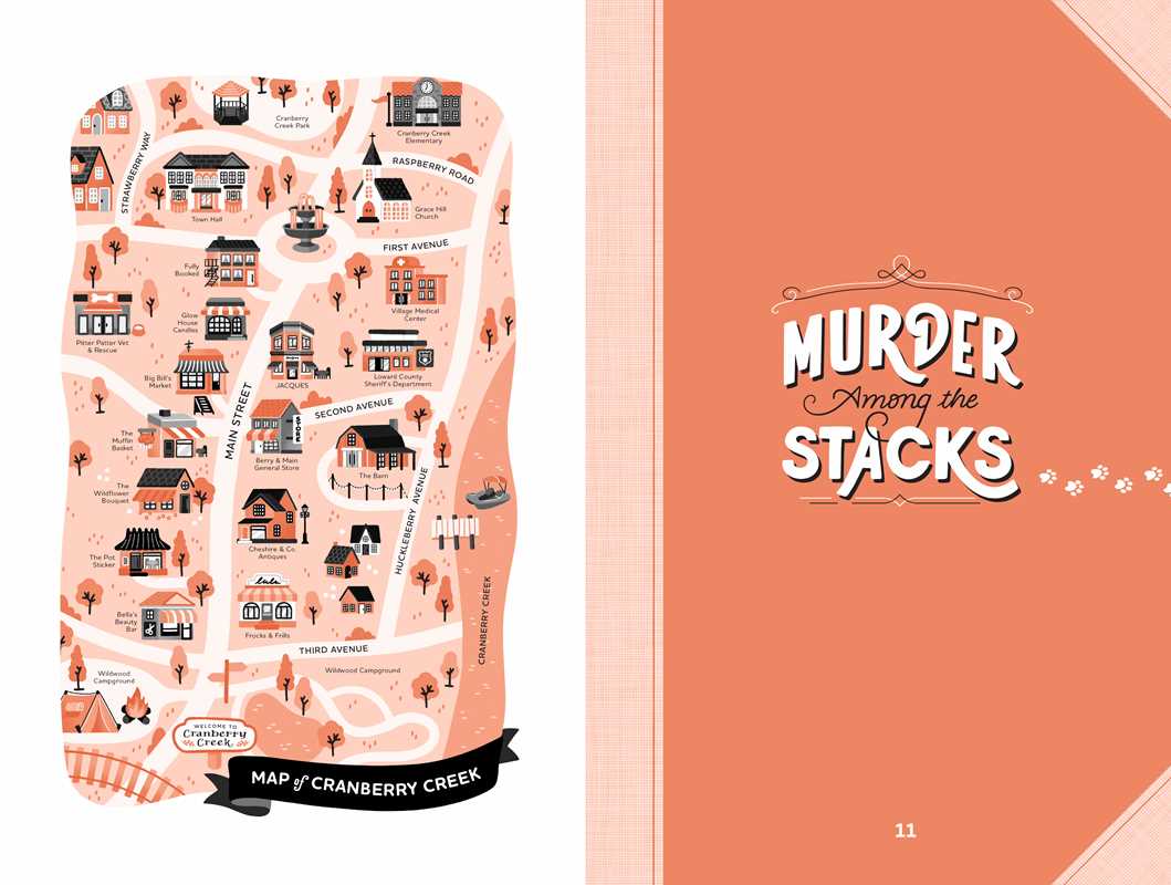 Murder Among the Stacks: Book 1 by Rosie A