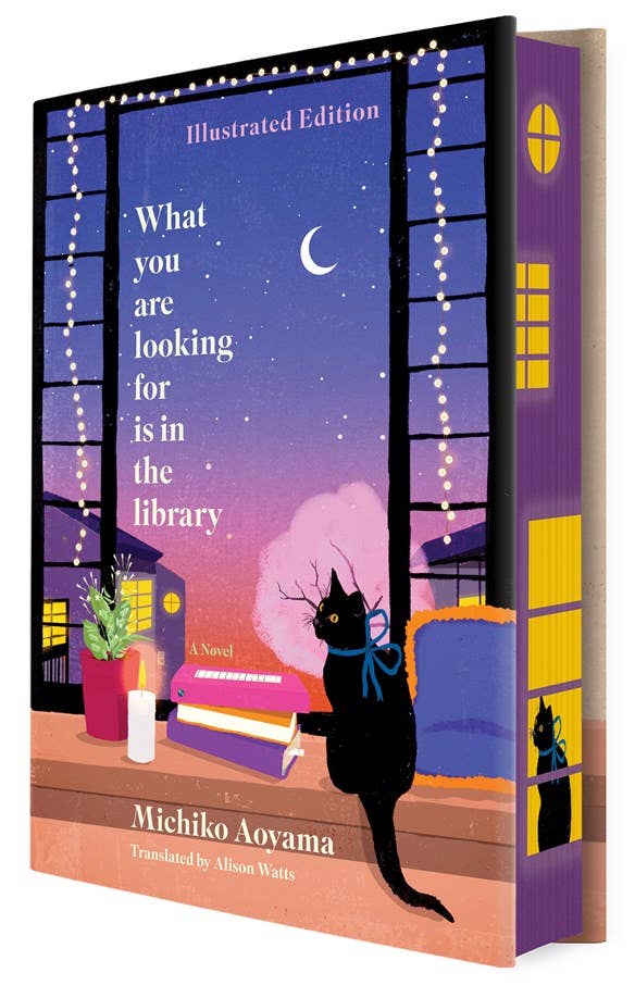 What You Are Looking For Is in the Library by Michiko Aoyama
