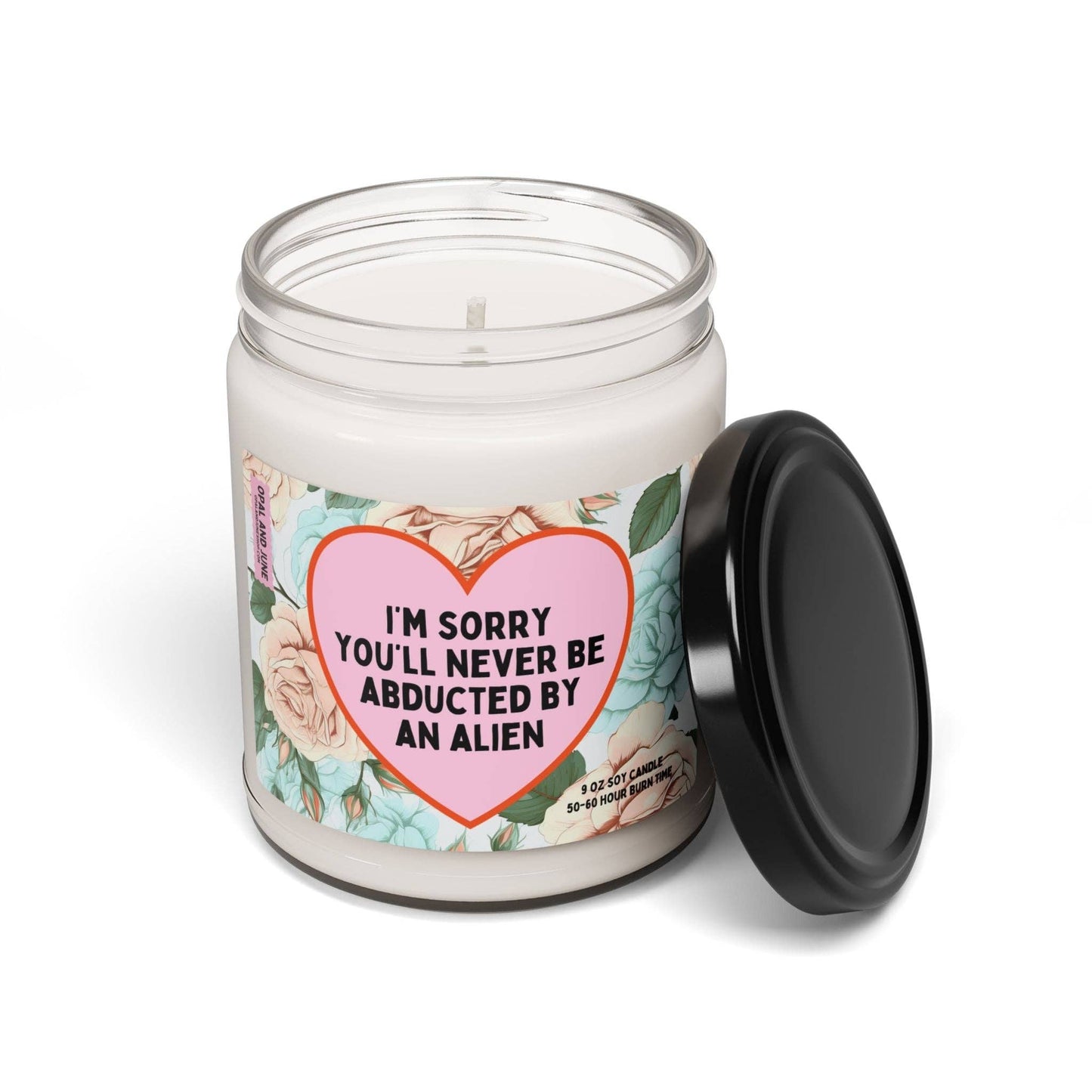 Candle: Never Be Abducted by Aliens: Cinnamon Vanilla / 9oz